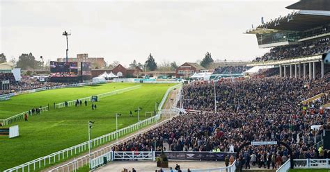 boyle sports cheltenham|Cheltenham Festival Betting & Odds .
